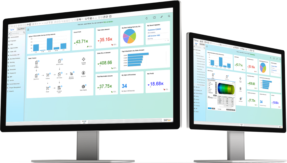 SAP Business One Partner